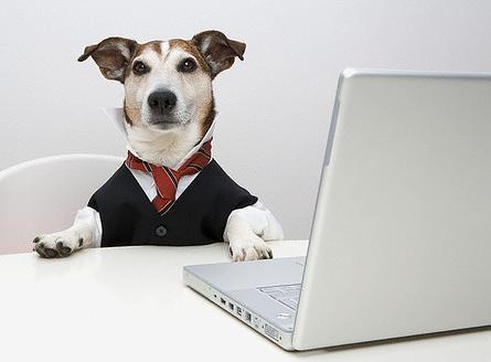Do employers have to allow employees to bring an animal to work?